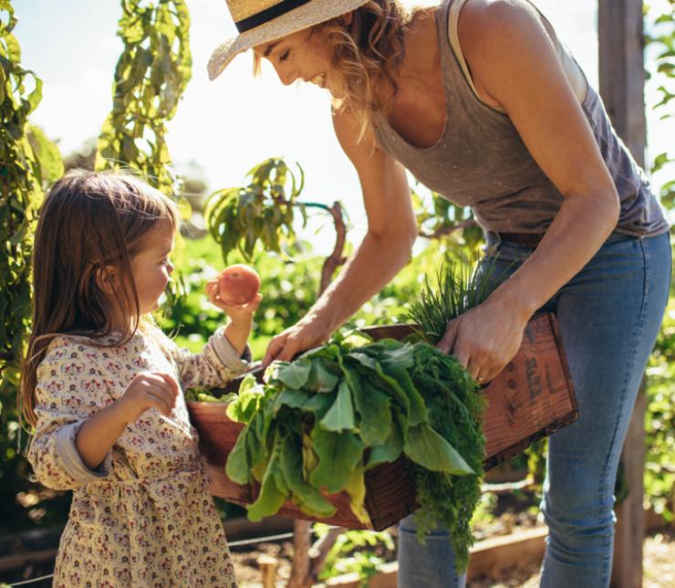 Nachhaltigkeit in der Küche – Tipps für umweltbewusstes Kochen und Essen