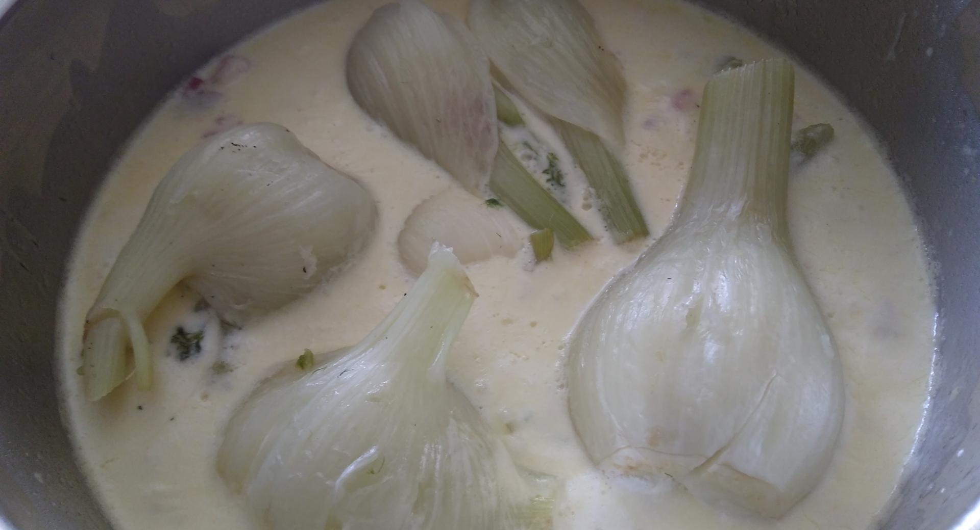 Fenchel in Käsesoße Fenchel in Käsesoße