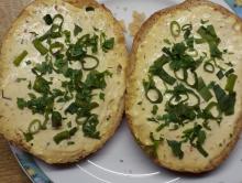 AlteBollen