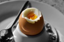 Frühstücksei weich