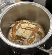 Brot