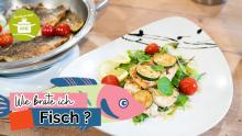 Fisch braten
