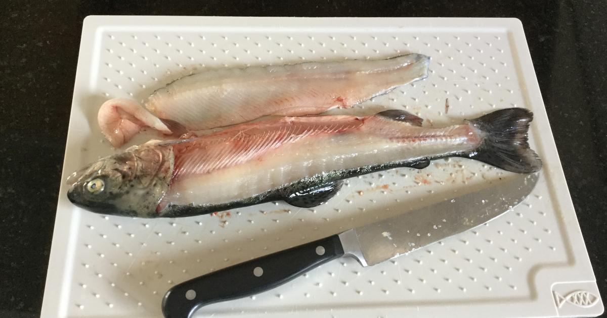 Warum Kein Rotwein Zum Fisch Pochierter Fisch an Rotwein-Pilz-Zwiebel-Sauce(Franz-Bistrorezept)