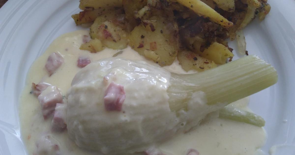Fenchel in Käsesoße