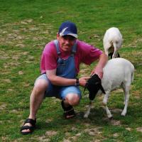 Profile picture for user Rainer Dickmeis